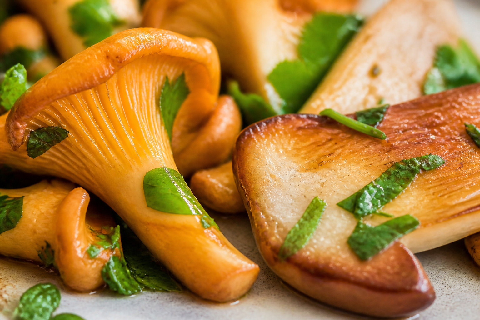 Légumes de saison et champignons pour un équilibre végétal