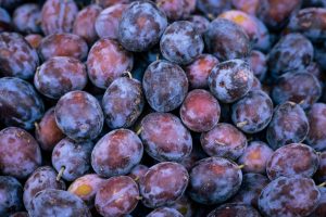 Tout savoir sur la quetsche d'Alsace : culture et saveurs