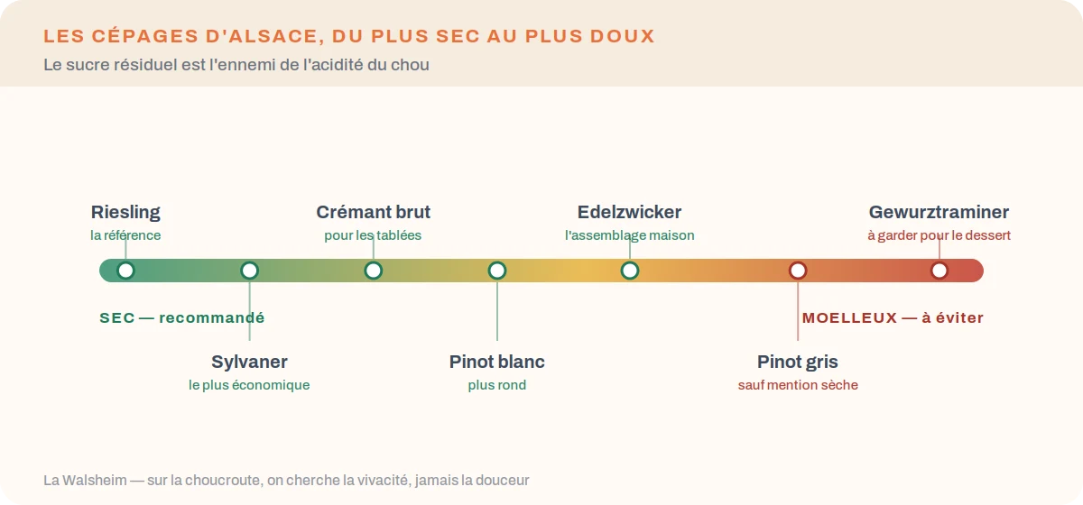 Échelle des cépages d'Alsace du plus sec au plus moelleux avec les accords adaptés à la choucroute