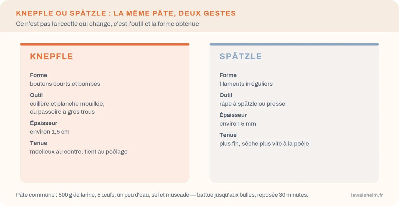 Comparatif knepfle et spätzle : forme, outil, épaisseur et tenue
