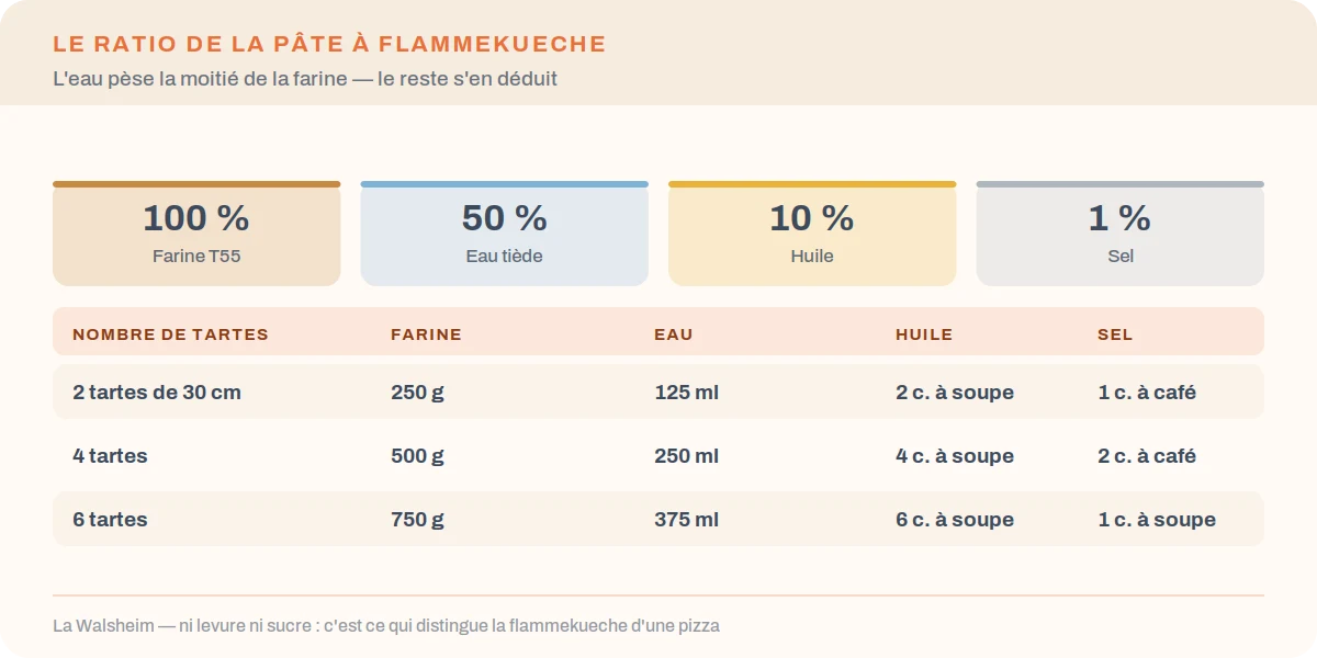 Ratio de la pâte à flammekueche : farine, eau, huile et sel, avec les quantités pour 2, 4 et 6 tartes