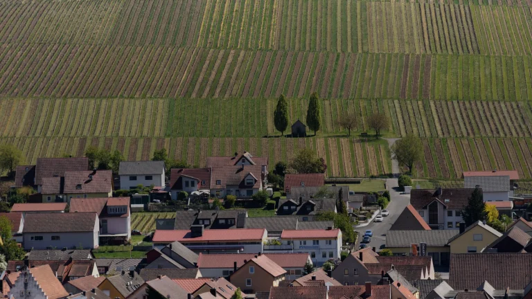 Vin d'Alsace : cépages, appellations et accords de table