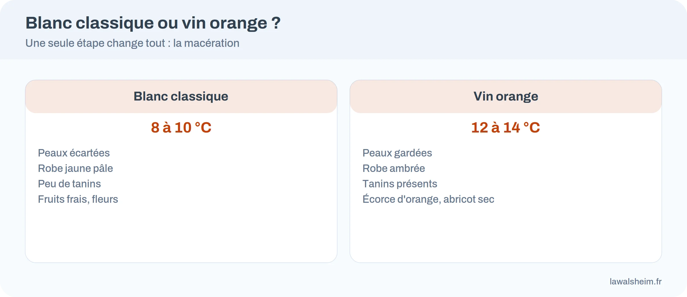 Comparaison entre un vin blanc classique et un vin orange d'Alsace : peaux, robe, tanins, service