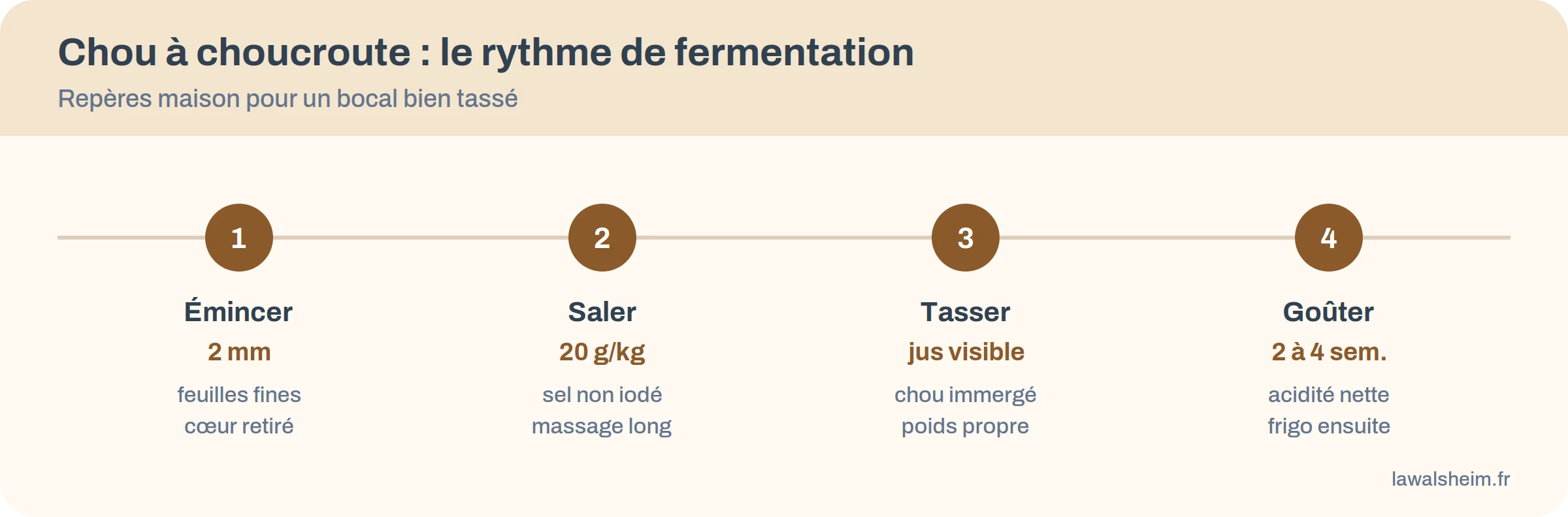 frise de fermentation du chou à choucroute